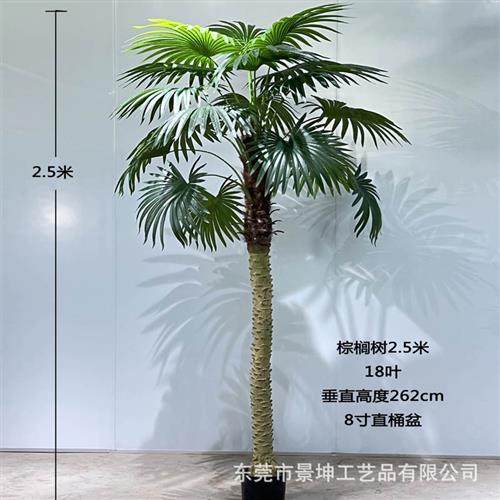 仿真小椰子树仿真美丽针葵树小棕榈树室内外绿植盆栽落地造景装饰