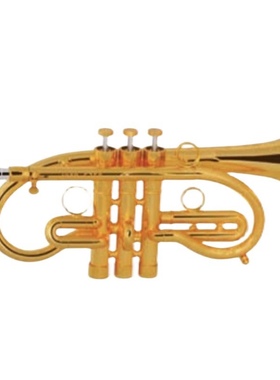 金音 JYTR-S870G降E调小号乐器 蒙乃尔活塞 黄铜管体订制演奏型