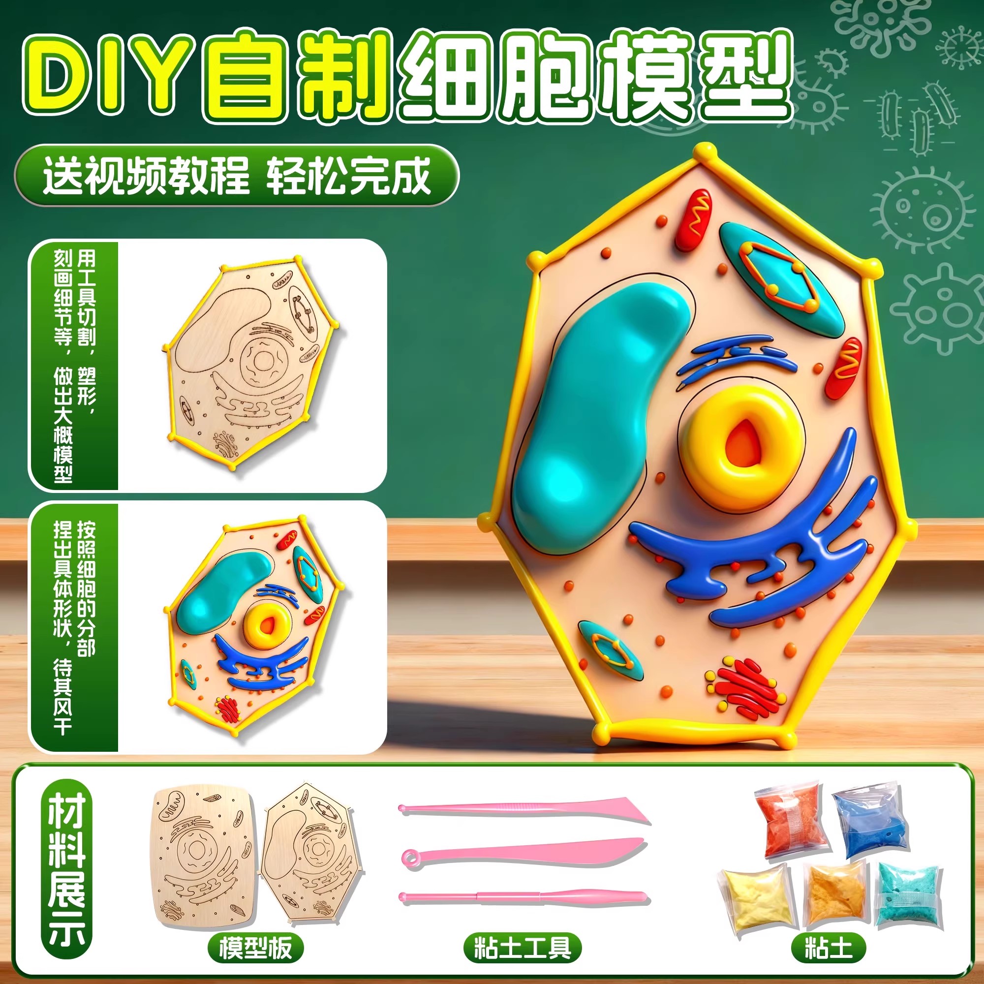 3d打印动植物细胞模型生物科学实验器材料教师手工diy道玩具礼物