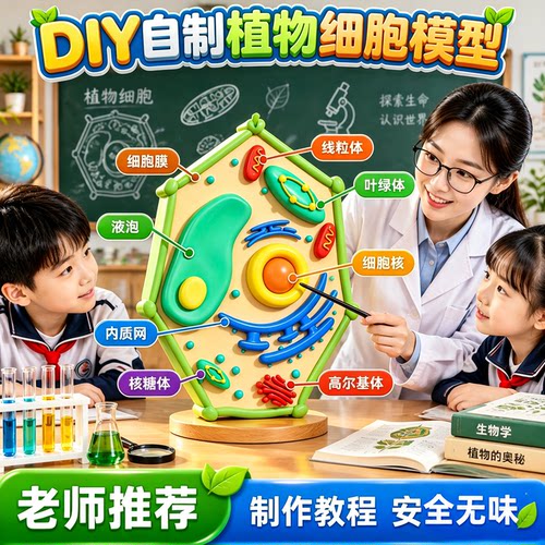 初高中动植物细胞模型手工diy制作成品真核粘土材料包七年级初一上生物作业学生自制线粒体细菌三维实验标本7