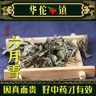 中药材正品新货六月雪 白马骨 满天星 500克包邮