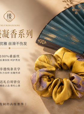 真丝22姆米桑蚕丝大肠发圈奢华