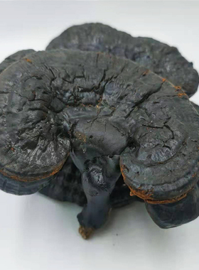 黑灵芝 黑芝 赤灵芝 黑色灵芝可切片中药材供应 500g克50元包邮