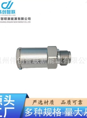 共轨泄压阀1110010020柴油燃油系统康明斯3963808 3963812 4899