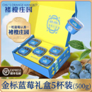 褚橙庄园金标蓝莓年货礼盒500g花香蓝莓鲜果大果脆甜新鲜现摘现发