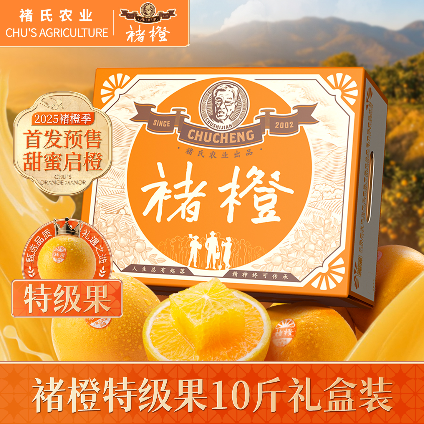 正品褚橙，官方直供，坏果包赔