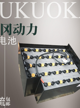 丰田叉车6FB20叉车电池 VSD9AC专用铅酸蓄电池 48V450Ah电瓶组
