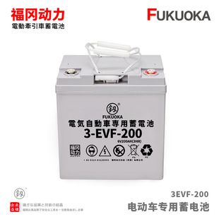 6v200AH铅酸蓄电池3-evf-200扫地车巡逻车洗地机观光车动力电瓶