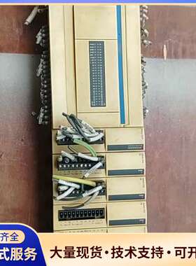 PLC施耐德模块  TWDLCAE40DRF/1个