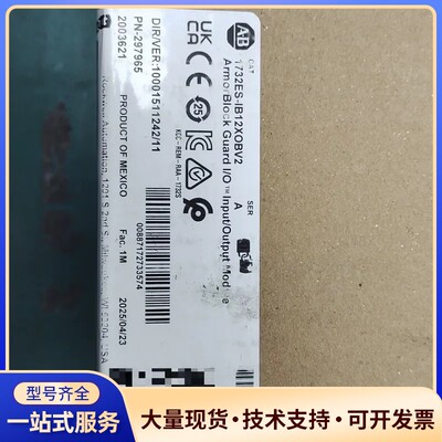 AB罗克韦尔1732ES-IB12XOBV2输入模块