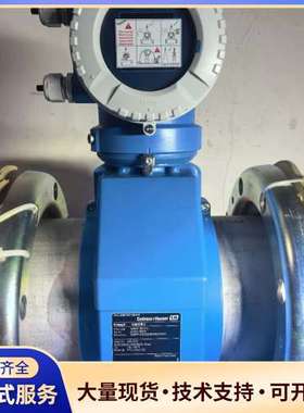 24年全新E+H恩德斯豪斯电磁流量计 Promag W，裸机