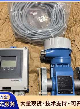 E+H Promag 400电磁流量计分体式，型号5L4C4