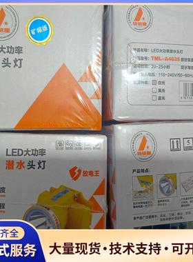 特铭量A4635头灯可充电锂电头戴式强光超亮户外夜钓野议价0