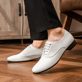 交谊跳舞蹈鞋 牛皮广场舞成人拉丁舞软底国标男式 摩登舞鞋 真皮男士