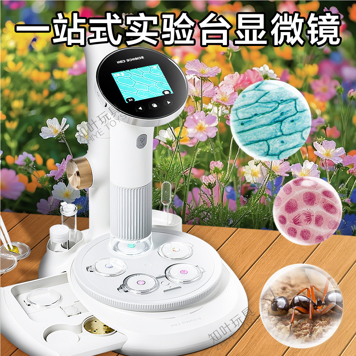 科学罐头儿童显微镜玩具