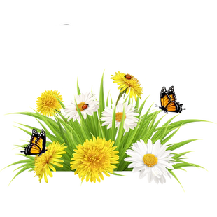 2025春季上新装饰玻璃门贴纸商场店铺新品上市创意花卉静电贴画