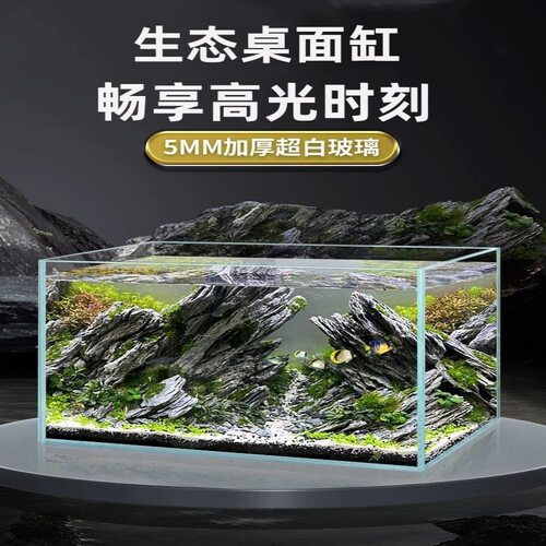 超白玻璃鱼缸小型客厅观赏小鱼