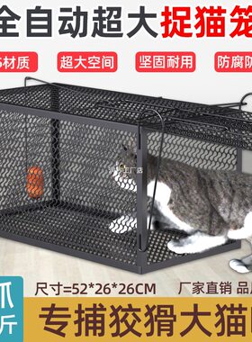 全自动捕猫笼大号抓猫工具人道