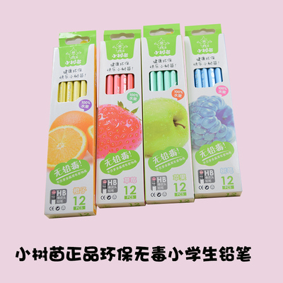 小树苗正姿学生用椴木六角杆铅笔