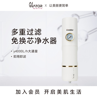 Aiwator/爱尔沃德前置过滤器家用全自动反冲洗自来水防爆净水器