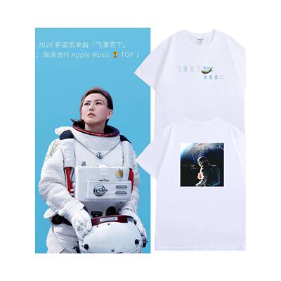 孙燕姿新歌飞瀑而下周边T恤在日落以后台北演唱会周边燕窝应援服