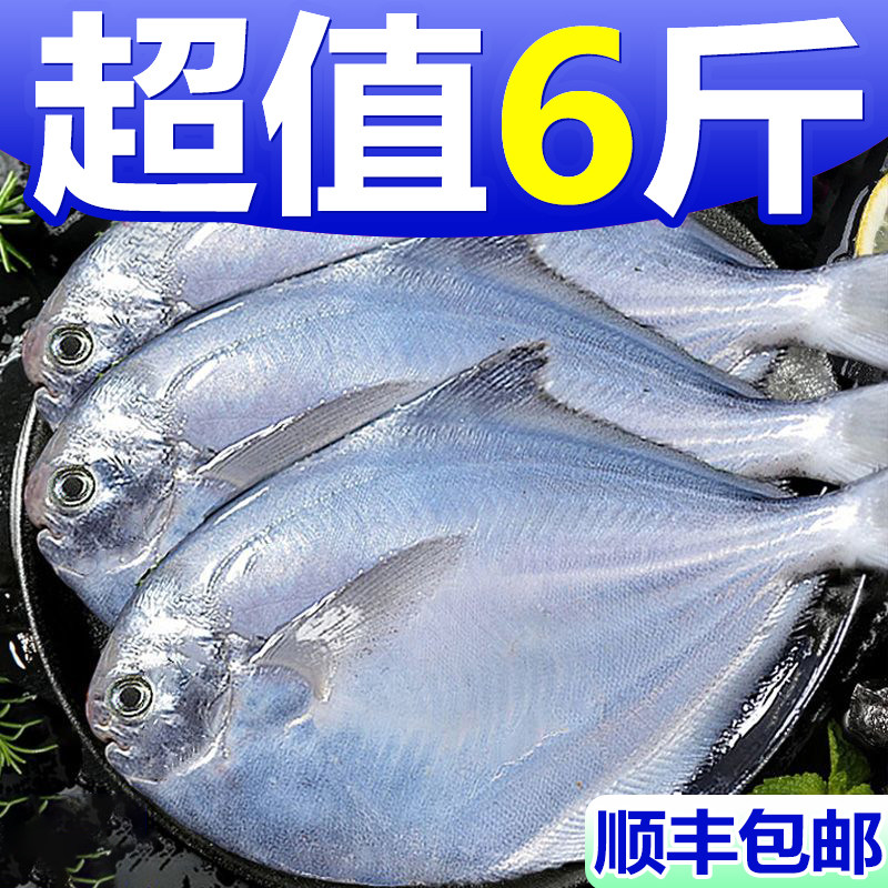 银鲳鱼新鲜冷冻特大鲳鱼白昌鱼鳊鱼海鱼海鲜水产金鲳鱼新鲜野生,水产肉类/新鲜蔬果/熟食,鲳鱼,淘宝优惠券,粉丝福利购,淘宝优惠卷
