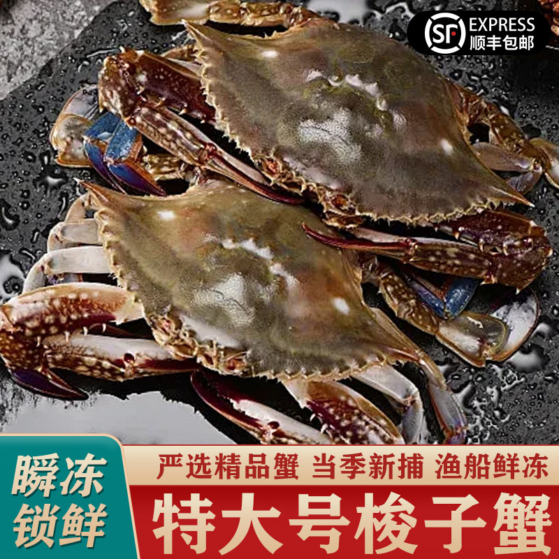舟山梭子蟹冷冻新鲜螃蟹生海蟹海鲜水产特大白飞蟹保鲜不保活冻蟹