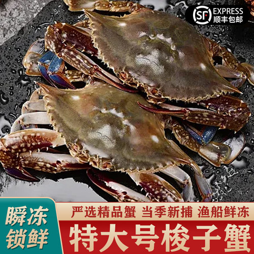 舟山梭子蟹冷冻保鲜不保活/冻蟹