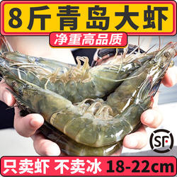 大虾鲜活冷冻超大基围虾新鲜青岛特大青虾速冻对虾海虾类海鲜水产