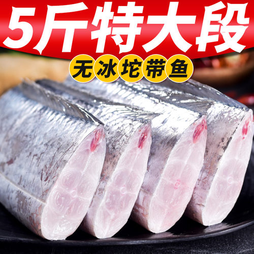 带鱼中段新鲜冷冻5斤特大10