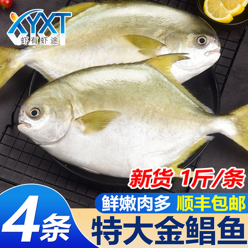 名扬湖海新鲜金鲳鱼4条海鲜水产