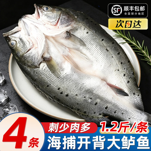名扬湖海开背海鲈鱼半成品