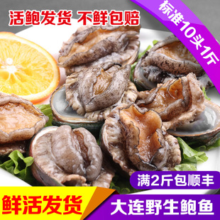 鲜活大号鲍鱼獐子岛产冷水活鲍海鲜生鲜海捕标准九孔鲍满两斤包