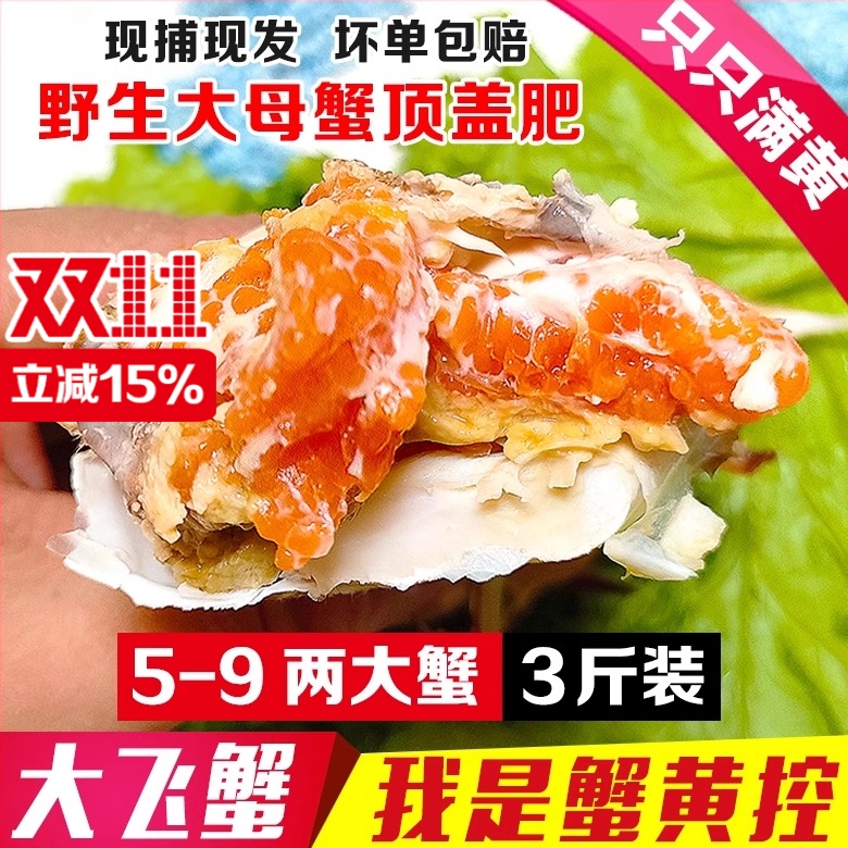 丹东大飞蟹老东沟满黄包肥大母蟹