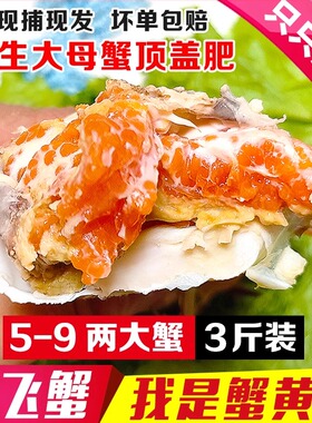 【保鲜不保活】活发丹东大飞蟹全母蟹满黄爆肥老东沟梭子蟹红膏蟹
