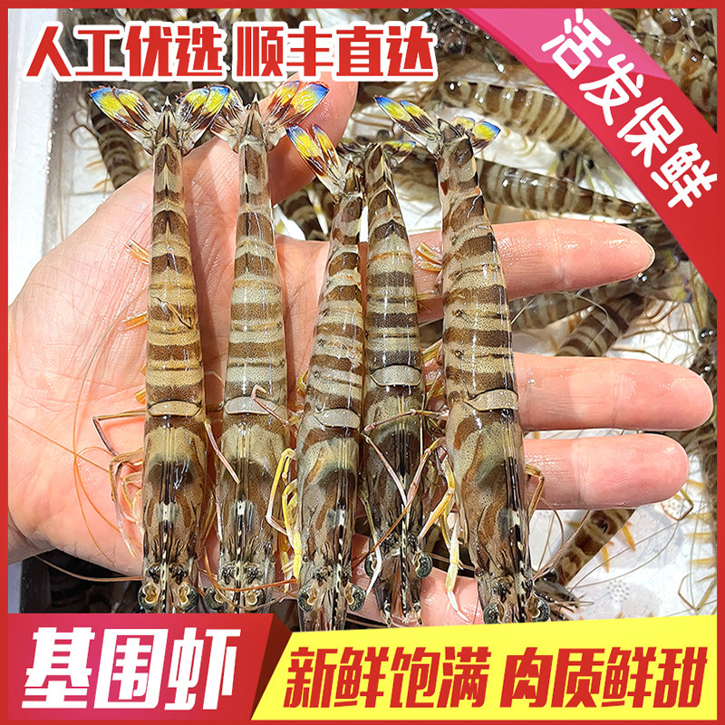 新鲜基围虾肉质紧实鲜活发货