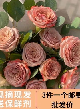 卡布奇诺玫瑰花巧克力泡泡鲜花云南斗南全国直发玫瑰混搭花束水养