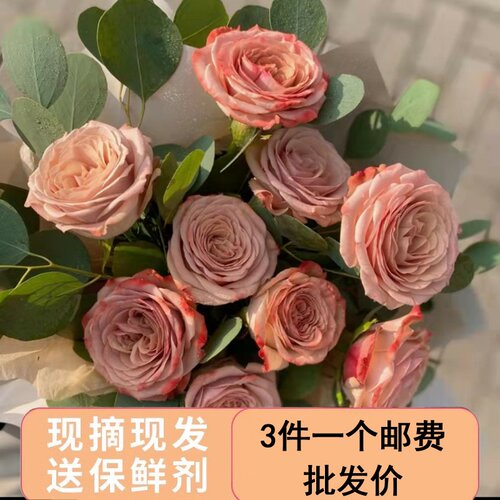 卡布奇诺玫瑰花巧克力泡泡鲜花