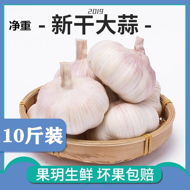 干蒜10斤装2021年农家新干蒜大蒜