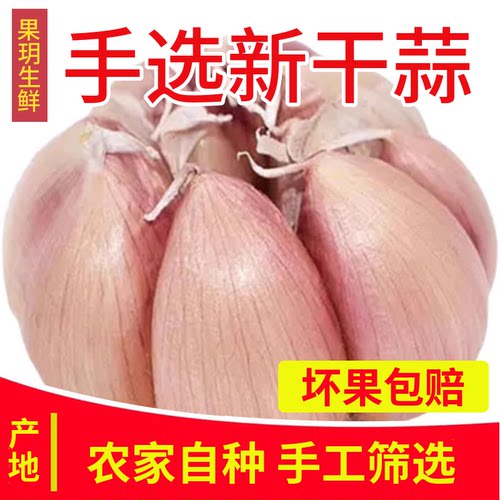 农家新干蒜紫白皮大蒜头