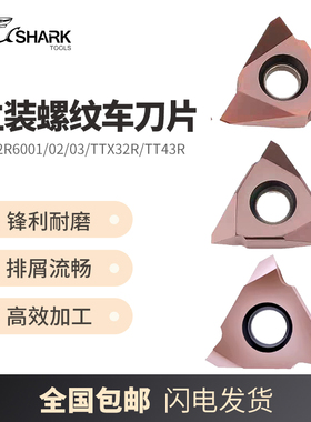 TT32R6001/02/03/TTX32R/TT43R三角数控走心机立装螺纹牙刀片刀粒