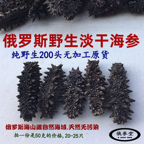 200头淡干海参纯俄罗斯野生原货