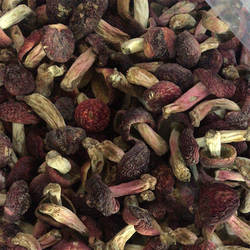 今年福建红菇 蓝底红菇 野山菌干货250克/袋 中菇