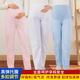 厚款 尖狮孕妇护士裤 护士服工作裤 子白色孕妇裤 可调节松紧腰托腹裤