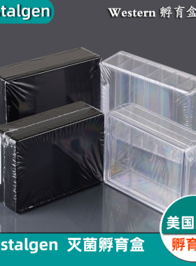 western blot抗体孵育盒灭菌透明黑色单格6格硅化处理CG科晶湿盒