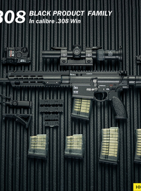 SMG 1/6比例 全黑色系列版本武器模型  MR308 16.5英寸 已售罄