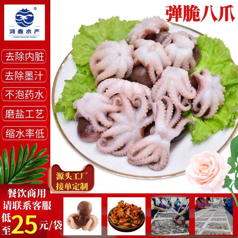 鸿鑫水产冰鲜八爪鱼短脚小章鱼爆头鱿鱼餐饮商用食材捞汁小海鲜