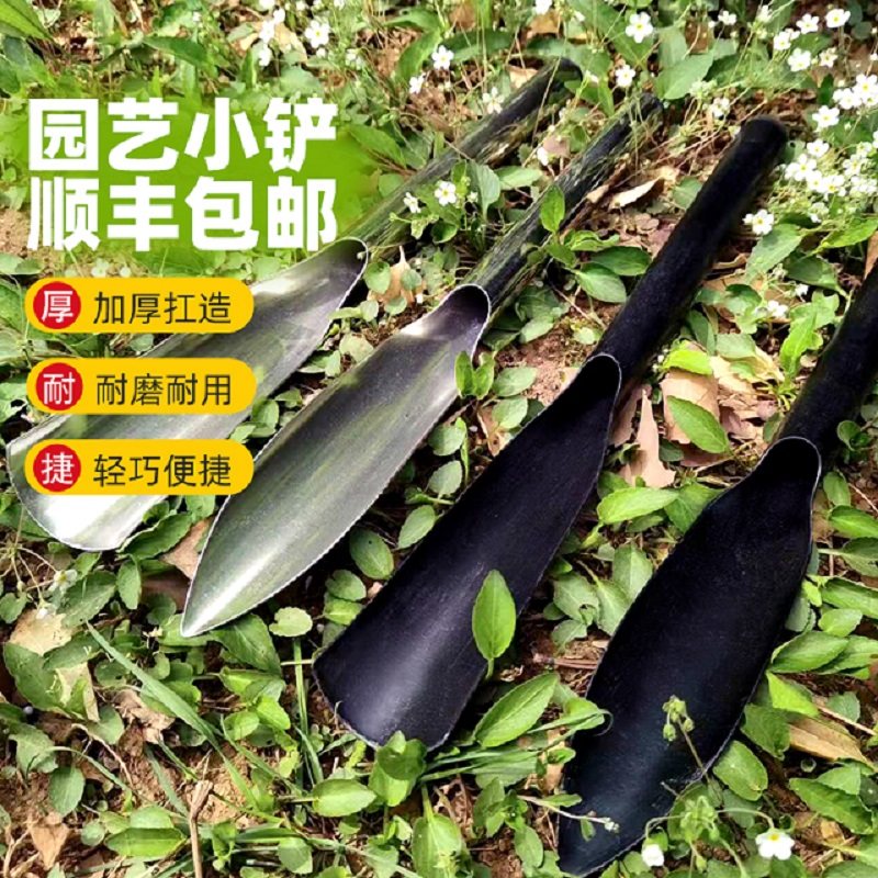 全钢不锈钢种花种菜挖野菜一体园艺工具小铲子挖土家用赶海神器,鲜花速递/花卉仿真/绿植园艺,铲子,淘宝优惠券,粉丝福利购,淘宝优惠卷