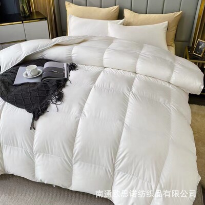 冬季棉被羽丝绒被丝绵被加厚保暖被芯冬被酒店被子礼品被