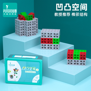 品果凹凸空间思维益智早教积木儿童专注力训练动脑多功能拼装 玩具